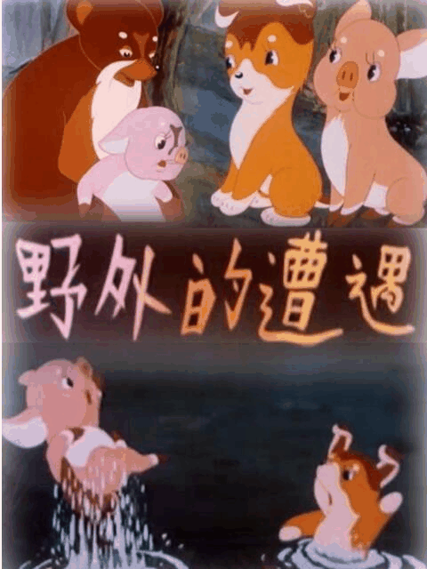南航空姐_野外的遭遇封面在线看